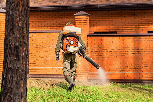 Bed Bug Clearance Verification and Documentation in Tatamy